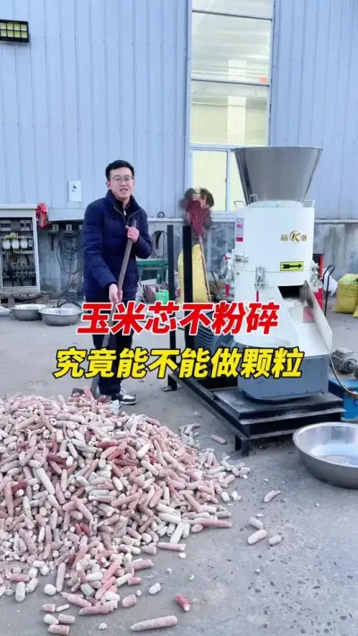 450型颗粒机整根玉米棒子做燃烧颗粒 450型生物质颗粒机整根玉米芯做燃烧颗粒，@郑州新颗重工-郭总 搭配37kw电机，时产量800公斤到1吨。#颗粒机 #生物质颗粒机 #玉米芯燃烧颗粒