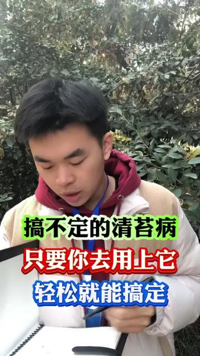 果树青苔#果树种植 #病虫害防治 #果树管理 #柑橘种植