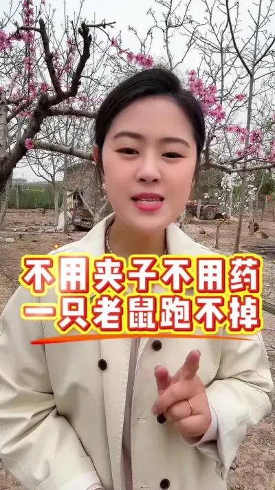 不用夹子不用药一只老鼠跑不掉 #科学养鸡 #鸡病防治 #服务三农支持三农 #鸡鸭鹅养殖 #养鸡人