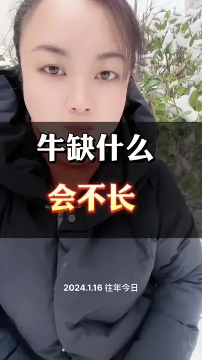 牛缺什么会不长#育肥牛 #养殖户 #科学喂养 #牛羊养殖 #养殖小妙招