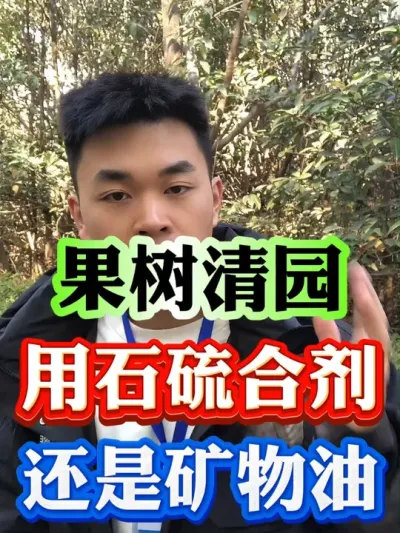 果树清园用石硫合剂还是矿物油效果最好呢#果树种植 #果树管理 #果园管理