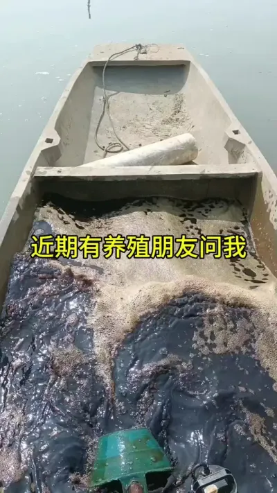 低温肥水原来有这么多好处呀 #水产养殖 #鱼虾蟹养殖 #鱼苗养殖 #小龙虾养殖 @抖加🔥上热门🔥dou+🔥热点宝