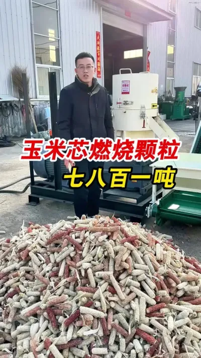 550型生物质颗粒机整根玉米芯做燃烧颗粒。#玉米芯颗粒 #生物质颗粒机 #颗粒机厂家