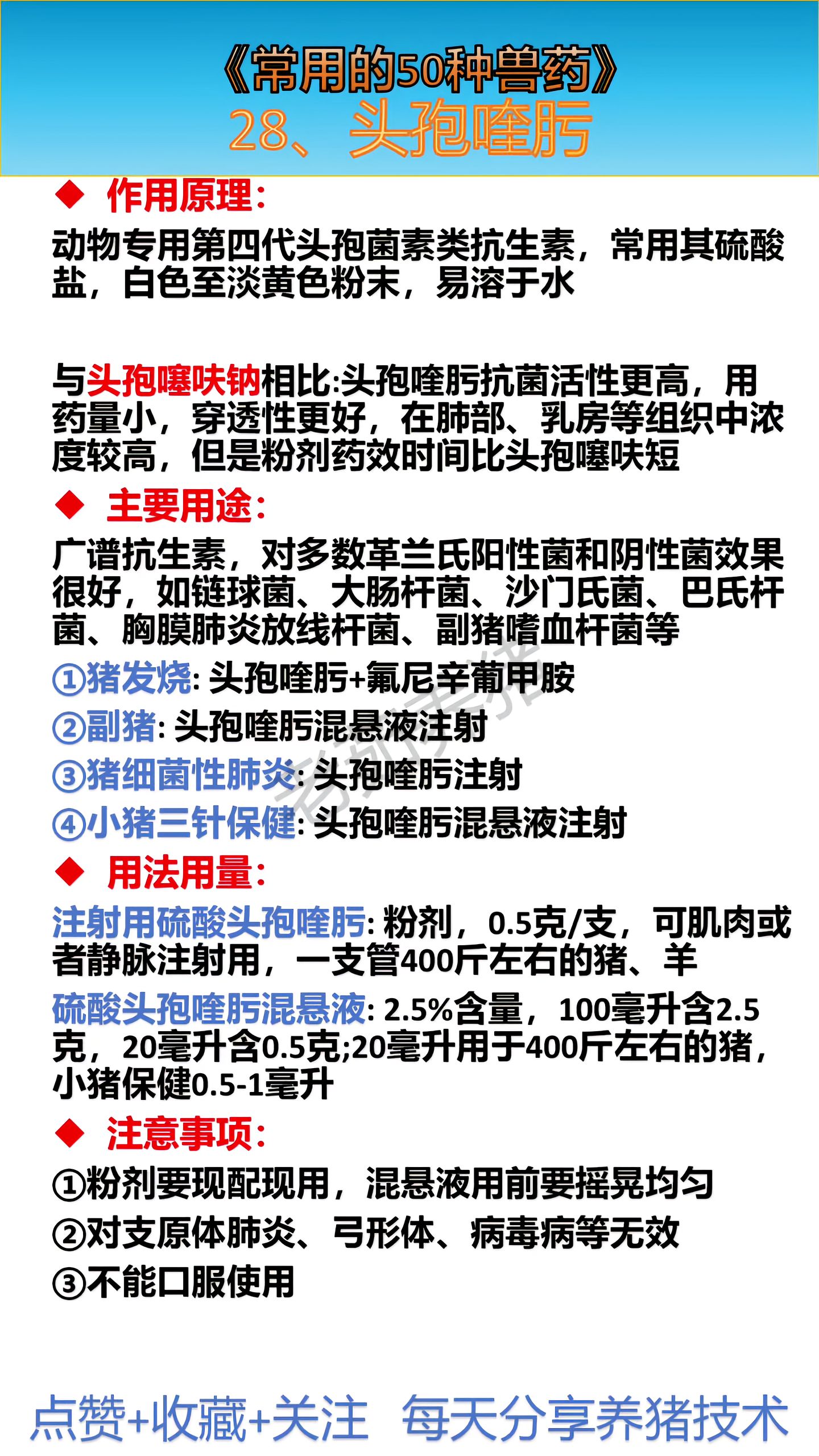 http://static.ixuenong.com/pxn/uploads/prod/thirdfile/2025/05/8c32b6a9ce09a6b043689f8116fcbb8c.jpg