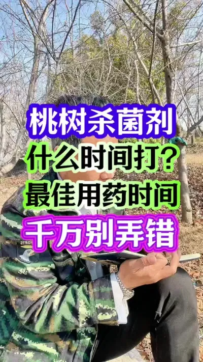 #桃树种植 #桃树管理 #病虫害防治 #抖音助农 #分享农业知识帮农民增产增收