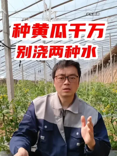 种黄瓜千万别浇两种水 #黄瓜种植 #种黄瓜 #种植小技巧 #传播农业小知识 #分享农业知识帮农民增产增收
