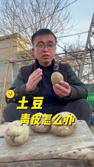 土豆青皮怎么办？土豆为什么会青皮？#关注我一起学种菜 #我的小菜园 #种植小技巧 #我爱种菜 #种菜