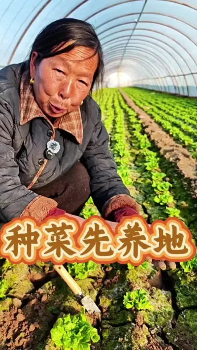 种菜先养地 立春后万物复苏开始种菜 #春回大地万物复苏 #蔬菜种植 #生菜杨姐 #土壤改良 #每天分享蔬菜种植技巧 @DOU+小助手