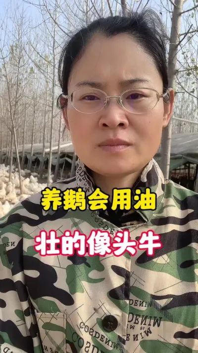 养鹅会用油，壮的像头牛。#养鹅技术分享 #科学养鹅 #养殖人加油 #养鹅人