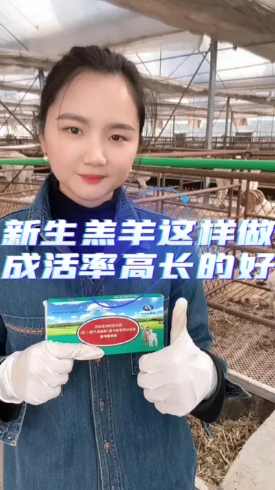提高羊羔成活率#养羊技术 #养羊技术分享 #养羊知识