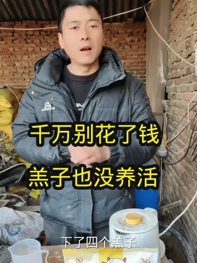 #养羊 #农村养羊 #羔羊 #羔羊奶粉 #羔羊奶粉正确喂养方法