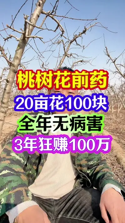 #桃树种植 #桃树管理 #病虫害防治 #分享农业知识帮农民增产增收 #抖音助农