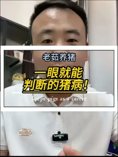一眼就能看出来的猪病，都有哪些。这些你们都认识吗？
#养猪技术 #养猪人 #养猪知识分享 #创作灵感
