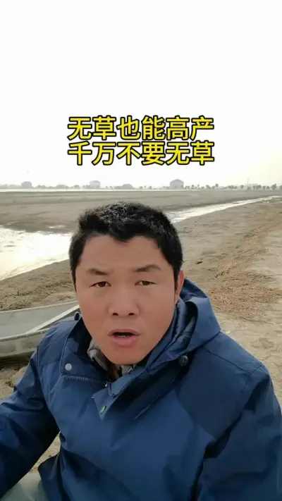 无草也能高产 #水产养殖 #鱼虾蟹养殖  #养蟹发哥 #河蟹养殖 #大闸蟹养殖
