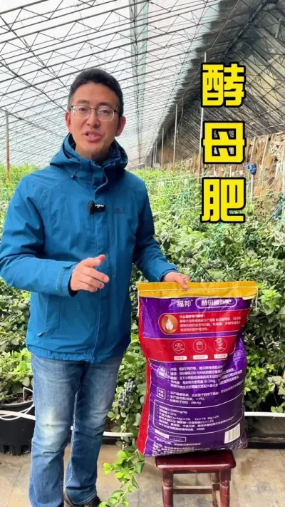 瘦土变肥土，发地用酵母。种草莓、蓝莓的朋友们，一定要学会辨别和使用酵母肥，增产、提质、收入高#农业技术
#农业种植 #相信酵母品质农业