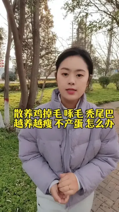 散养鸡掉毛啄毛秃尾巴，不长肉不产蛋怎么办#养鸡妙招#科学养鸡#鸡鸭鹅养殖#养鸡