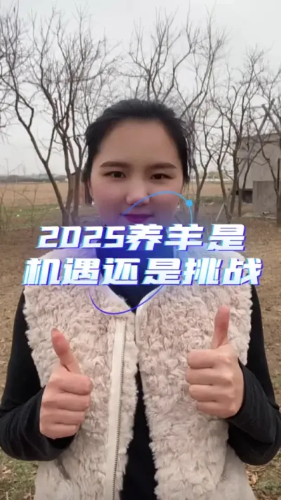 2025养羊是机遇还是挑战#养羊人 #农村创业养殖 #自繁自养 #养羊技术 #农村养羊