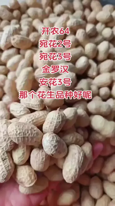 #抖音助农 #农业人 #花生 #关注三农 #农业种植技术