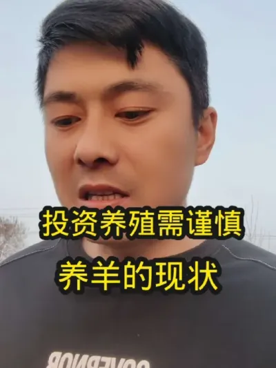 目前羊肉市场的消费现状#养羊 #养羊人 #农村养羊