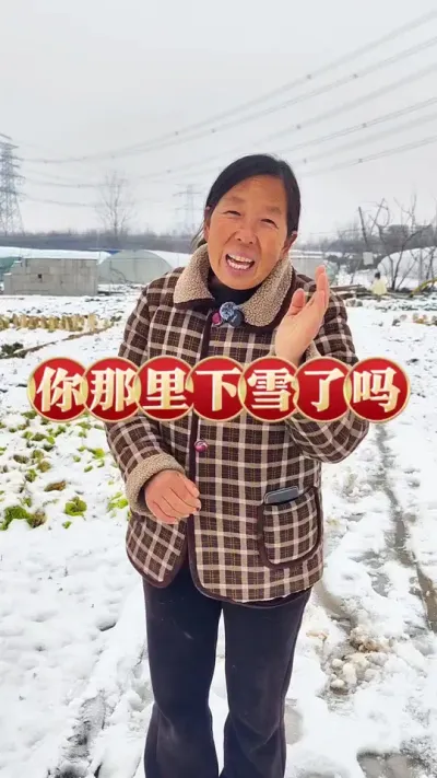 你那里下雪了吗 大雪年年有 不在三九在四九#大雪 #一场大雪美如画 #蔬菜种植 #生菜杨姐 #下雪了 @DOU+小助手