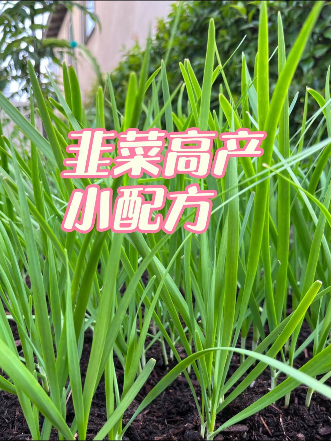 http://static.ixuenong.com/pxn/uploads/prod/thirdfile/2025/05/962c77425600d10b9aa4de62e87fb97f.jpg