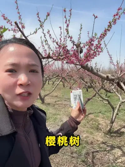 桃树食心虫怎么防治 #食心虫 #病虫害防治 #桃树虫害防治 #果园管理