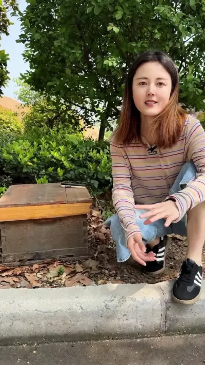 #蜜蜂🐝 #养蜂人 #蜂蜜 #获丰巢础 #三农