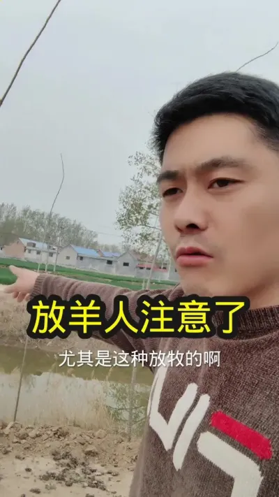 #养羊 #养羊人 #农村养羊 #养羊技术分享