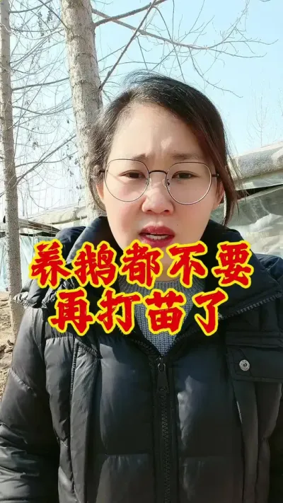 养鹅这四个基础苗一定要打#养鹅技术分享 #鹅 #养鹅人 #养鹅 #科学养鹅