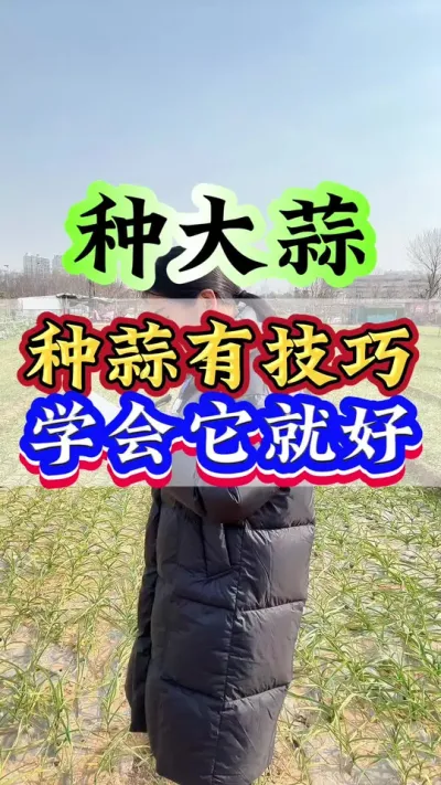 种蒜有技巧，学会它就好#大蒜种植 #种植小技巧 #抖音助农 #三农 #农业种植