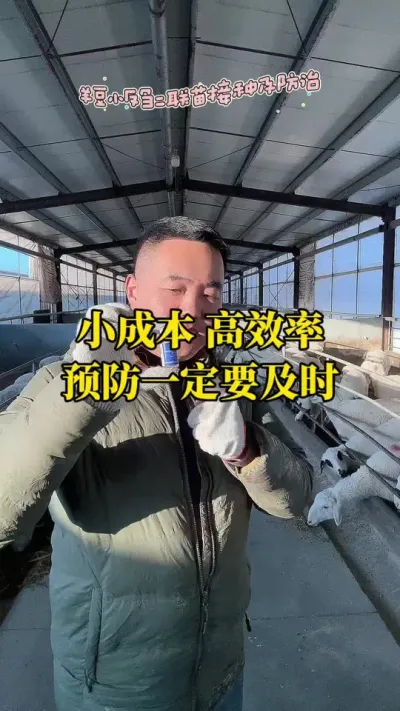 防大于治，预防一定要及时#每天分享牛羊养殖小知识 #畜牧养殖 #农村养羊