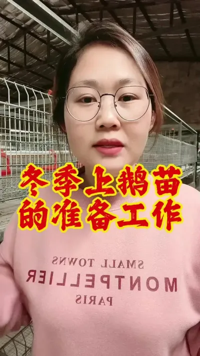 冬季上鹅苗的准备工作#科学养鹅 #养鹅 #养鹅技术分享 #养鹅人 #鹅