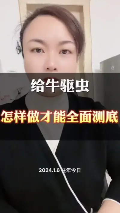 给牛羊驱虫，怎么才能更全面#肉牛养殖 #养殖户 #西门塔尔母牛 #科学养殖