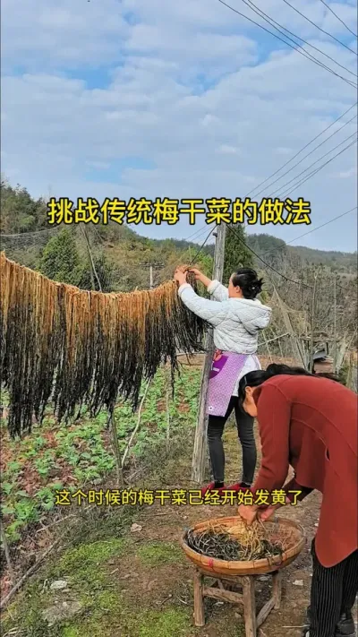 #创作灵感 #我的乡村生活 哇塞，自己种的雪里蕻丰收啦，第一次尝试传统做法三蒸三晒做梅干菜，感觉好有成就感呀！ #三蒸三晒 #梅干菜#自制美食