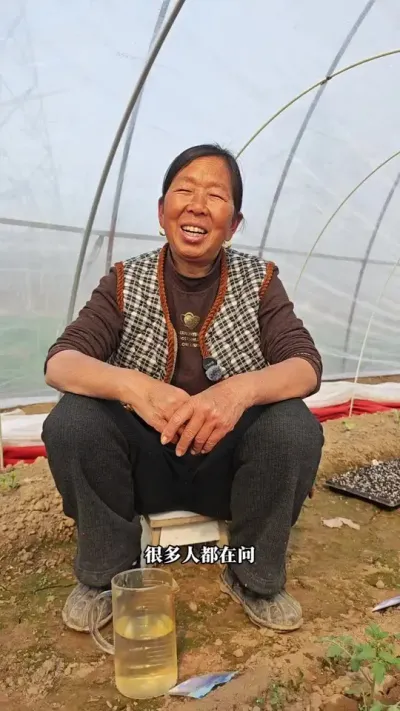 现在的瓜果蔬菜 味儿没有以前香？这个就是原因。#淘宝真香好物 #万物皆可淘