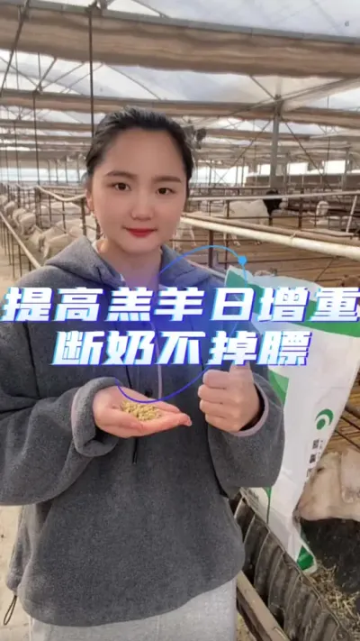 羔羊开口料断奶不掉膘#育肥羊羔专用饲料 #牛羊饲料 #养羊技术 #反刍饲料