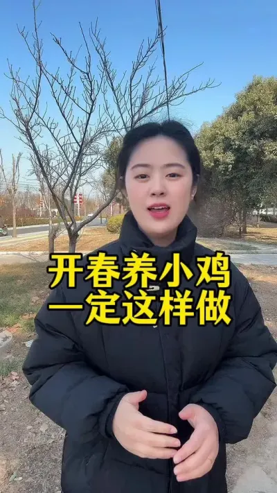 开春养小鸡，一定这样去做，让你全程不丢一只鸡#服务三农支持三农 #养鸡人 #抖音养鸡人 #科学养鸡 #鸡苗