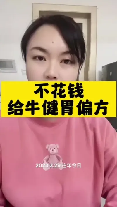 给牛健胃，不用花钱的小偏方#养殖户 #肉牛养殖 #全国养牛人 #西门塔尔母牛 #科学喂养