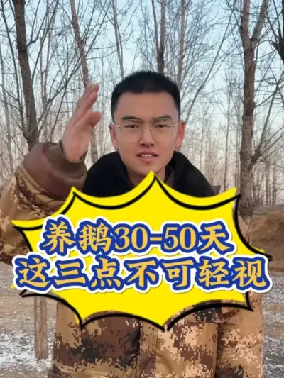 为啥你养鹅不赚钱，成活率不高，打架飞机翅，骨架拉不开，鹅群还不均匀？30-50天的鹅 可不只是喂料喂水那么简单！这三点至关重要！点赞收藏加关注，别用的时候您找不到了！#养鹅技术分享 #养鹅 #养鹅人 