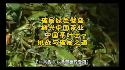 破局绿色壁垒，振兴中国茶业&mdash;&mdash;中国茶叶出口的挑战与破局之道@云食界展贸服务平台