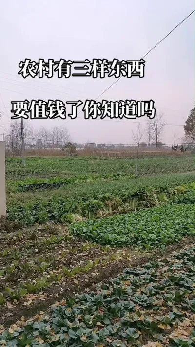#农村有三样东西要值钱了#农村户口#农村土地#农村宅基地#老百姓关心的话题