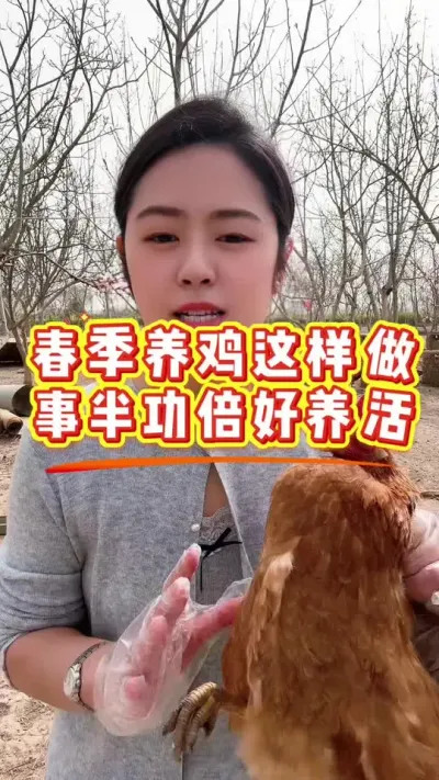 春季养鸡这样做，事半功倍好养活 #养鸡#散养土鸡#鸡驱虫#科学养鸡#鸡病防治