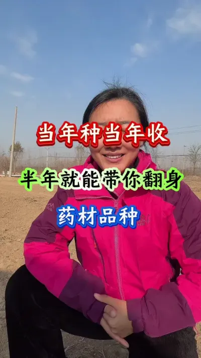 药材管理 当年种当年收半年就能带你翻身药材品种 #药材种植 #药材管理