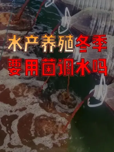 #水产人  速看！#水产养殖  冬季还能用菌调水吗？浪费钱吗？#水产养殖技术  #水产