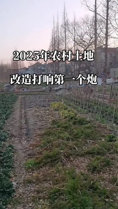 #2025年农村土地改造打响第一炮#2025年土地新政策#老百姓关心的话题