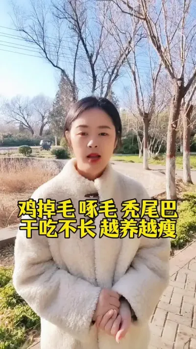 鸡掉毛啄毛秃尾巴，干吃不长越养越瘦怎么办#养鸡#科学养鸡#散养土鸡#鸡鸭鹅养殖