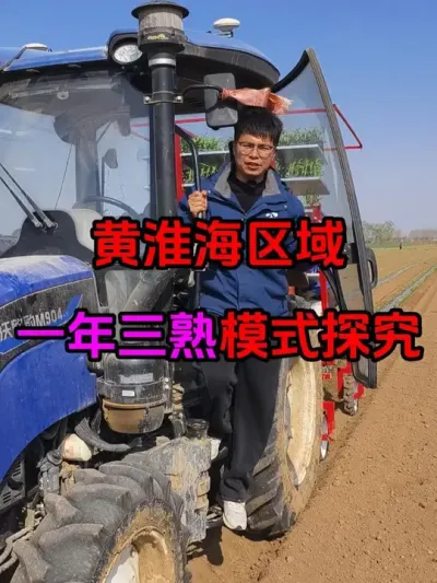 黄淮海区域一年三熟模式探究 探索种地挣钱新模式#一年三熟 #黄淮海区域 #甜糯玉米