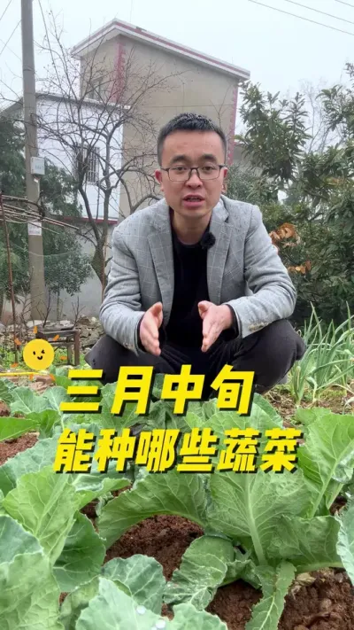 三月中旬能种哪些蔬菜？#学种菜 #我的小菜园 #关注我一起学种菜 #种植小技巧 #我爱种菜
