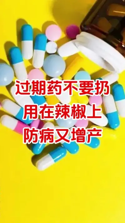 过期药不要扔，用在辣椒上防虫防病#辣椒种植 #辣椒管理 #辣椒高产 #过期药品不要扔变废为宝有妙用 #种植小技巧