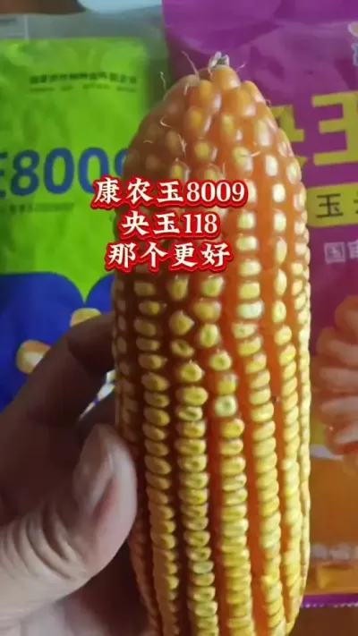 #抖音助农 #农业种植技术 #助农扶农 #玉米 #农业人